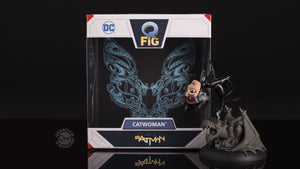 DC COMICS™  Catwoman: Rebirth Q-Fig Figure